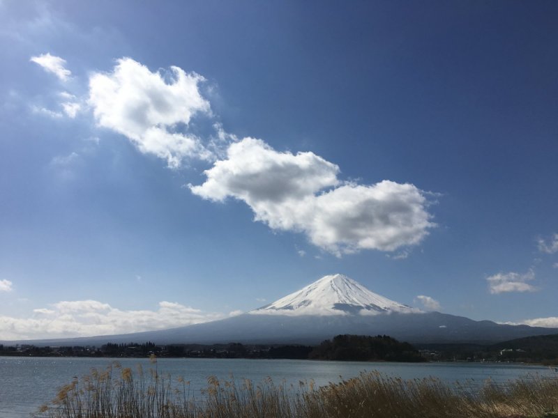 Fantastic Fuji & Hakone 1 Day Tour without Lunch