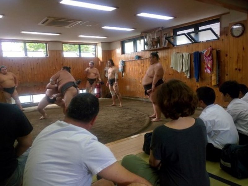Visiting SUMO Stable