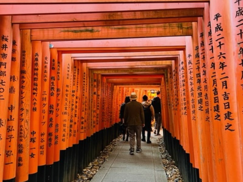 Fushimi Inari Shrine and Sake Brewery AM Walking tour 