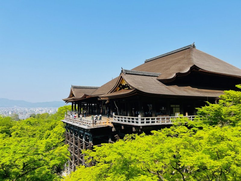 Kiyomizu-dera Temple and Yasaka Shrine, Gion PM Walking tour 