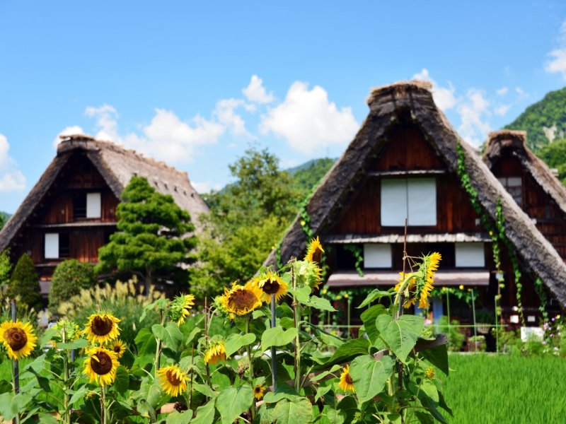 【Sale!】Nostalgic Shirakawago & Kanazawa 1 Day Tour (without Lunch)