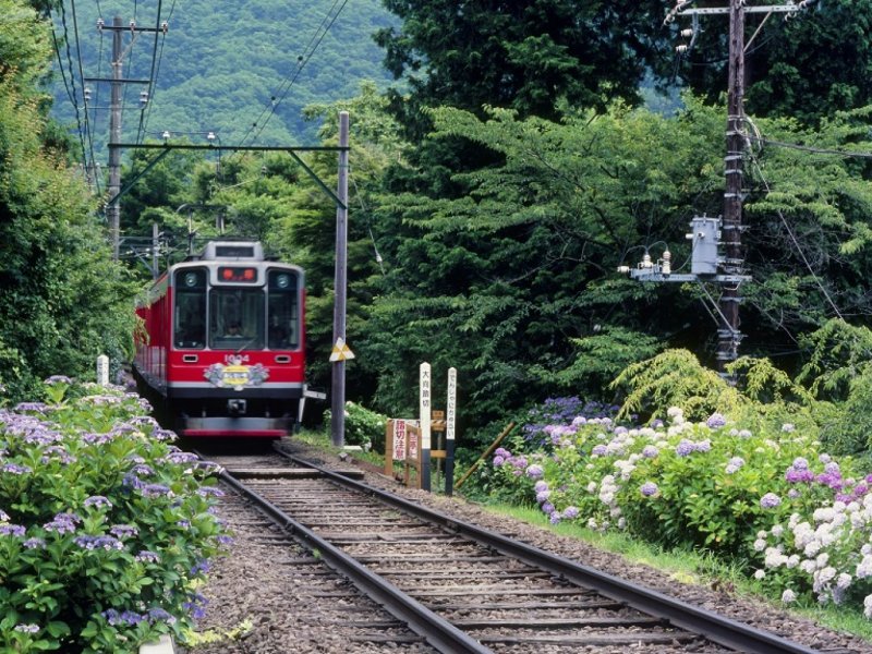【Weekday】Hakone Free Pass 3 Days From Shinjuku with One-way Romance Car Express Train Ticket
