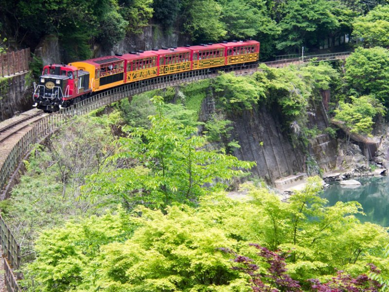 Sagano Romantic Train and Kyoto One Day Bus Tour(No Lunch/From Kyoto)