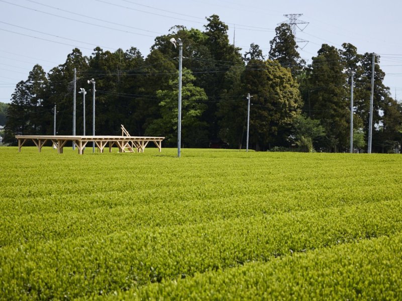 Immerse yourself in nature with our Japanese-tea terrace “CHANOWA” Private Party Plan!