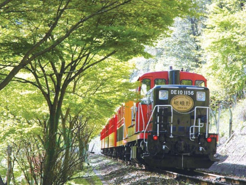 Sagano Romantic Train and Kyoto One Day Bus Tour(With Buffet Lunch/from Osaka)