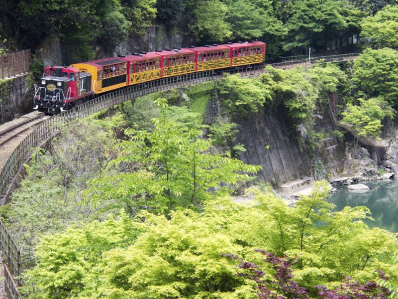 Sagano Romantic Train and Kyoto One Day Bus Tour(No Lunch/From Osaka)