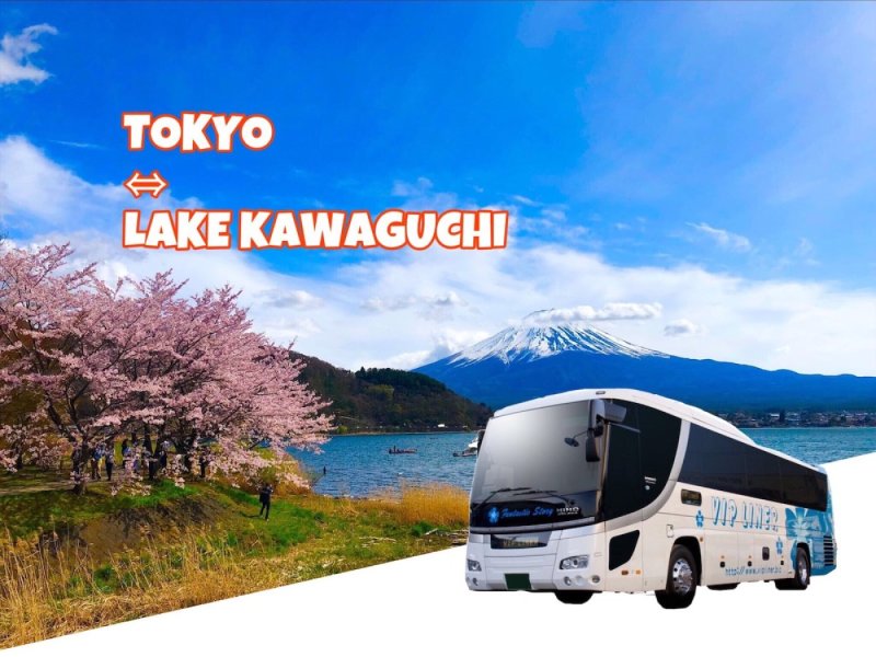One-Way Highway Bus Ticket: Tokyo ⇔ Lake Kawaguchiko from Tokyo