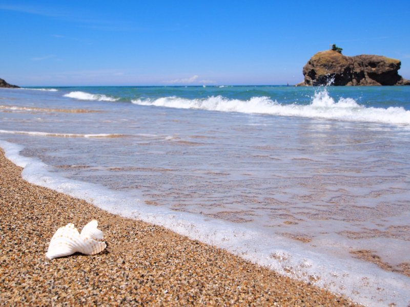 White rabbit-led matchmaking walk and &lsquo;Rabbit Triple Jump Donburi&rsquo; plan