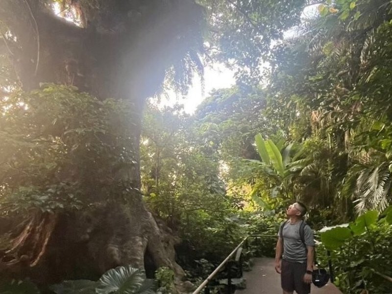 E-Bike Nature Tour in Shuri