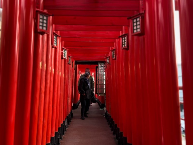 Zodiac Shrines and Naha Backstreets Cycling Tour