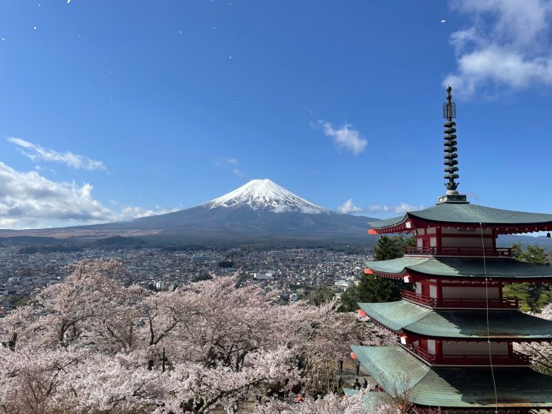 SPECTACULAR MT. FUJI in Kawaguchiko
