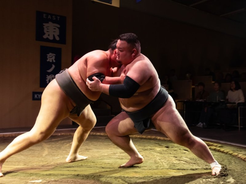 Kyoto Sumo Entertainment Show with Chicken Hot Pot