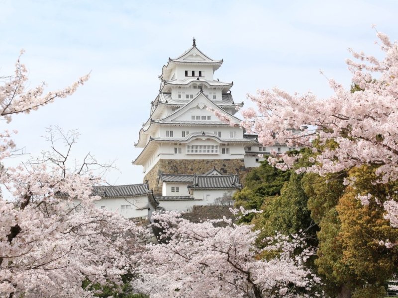 Ride around the Himeji Castle. Slurp like a Local