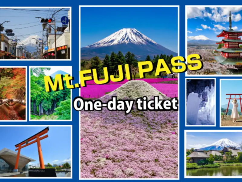 Mt. Fuji Pass 1-Day Ticket